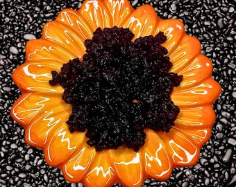 Live Hawaiian Black Sand for Hermit Crabs