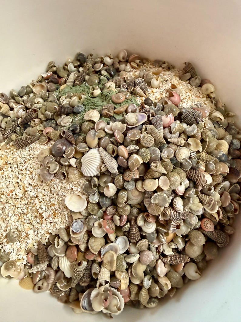 Hermit Crab Foraging Sand, Mineral Rich, Natural Ingredients, Greensand, Worm Castings, Calcium for Hermit Crabs,24/7 Hermit Crab Supplement image 14