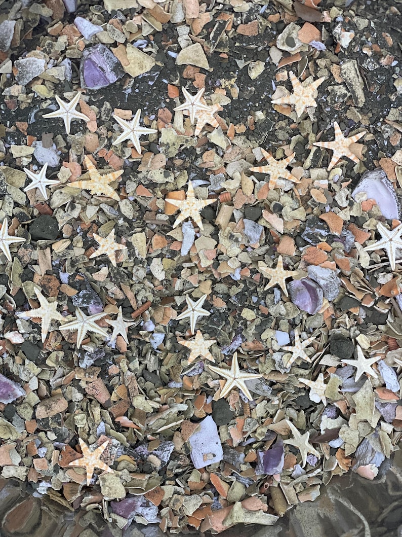 May include: A collection of small, light-colored starfish scattered across a textured surface composed of crushed seashells, small pebbles, and fragments of broken pottery in shades of beige, gray, brown, and occasional hints of purple.