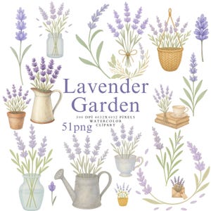 Lavendel clipart-png | Aquarel bloemen clipartset | Digitale lavendeltakjes | Transparante achtergrond | Direct downloaden