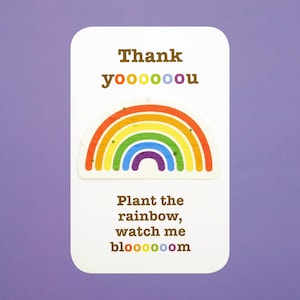 Petites cartes arc-en-ciel à planter - Contient des graines de fleurs sauvages - Merci - Anniversaire - Félicitations - Sympathie - Mariage - Merci pour le professeur