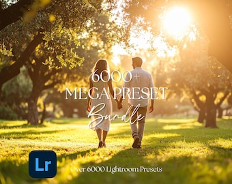 6000+ desktop: Lightroom-presetbundel, fotofilters voor Instagram
