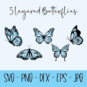 Schmetterling SVG Bundle / PNG-Dateien, Schmetterling SVG geschichtet, Schmetterling-Dateien für Cricut und Silhouette, sofort einsatzbereit