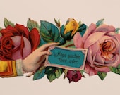 Hope Sustain Thee Ever Victorian Sentiment Small Print, 4x6" Postcard | Comfort Sympathy Victorian Hand & Roses Floral Flat Card Small Gift