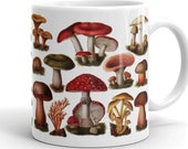 Mushroom Mug: Retro Fungi & Mushrooms | Edwardian Botanical Illustration | Fungus, Mushroom, Mushroom Gift