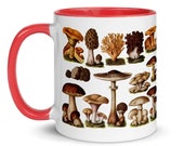 Mushroom Mug: Edible Fungi & Mushrooms, Red Interior | Edwardian Botanical Illustration | Fungus, Mushroom, Retro Mushroom Gift