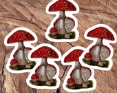 Fly Agaric Stickers | Psychoactive, Hallucinogenic Red Mushroom Vinyl Sticker Set Decals, Amanita muscaria Mushrooms, Small Gift