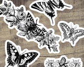 Victorian Moths and Butterflies Sticker Set | Vintage Flowers, Butterfly, Moth Floral Vinyl Stickers, Black and White, Small Gift