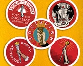 Socialist Torch Sticker Set | Retro Socialism Party, Solidarity, Socialism for America, Leftist Vinyl Stickers, Small Gift