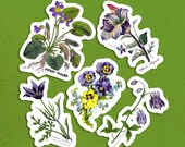 Old Fashioned Purple Flowers Sticker Set, 5 Victorian Botanical Floral Vinyl Stickers Columbine Violets Pansies Anemone, Small Gift