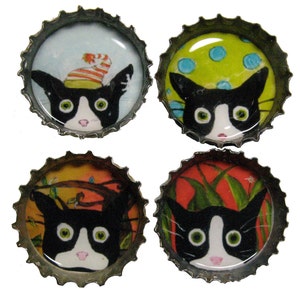 Crazy Cat Magnets - Funny Tuxedo Cat  Art - Bottle Cap Magnets - Set of 4 - Silent Mylo Tuxedo Cat - Gift for Cat Lover - Cat Lady Gift