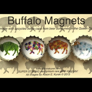 Four Seasons Buffalo Magnets -  Refrigerator Magnets  - Buffalo Art - Bottle Cap Magnets - Buffalo NY - Buffalove - Buffalo Gift