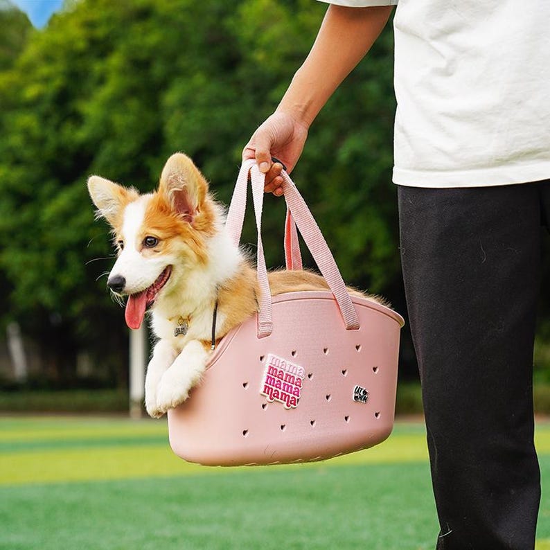 Puede incluir: Un transport&iacute;n rosa claro para mascotas con un perro peque&ntilde;o dentro. El transport&iacute;n tiene un asa y el texto "mama" en el lateral. El perro es un corgi con pelo blanco y naranja.
