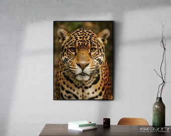 Custom Majestic Jaguar Close-Up – Hoge Resolutie Digitale Wildlife Print | Directe Download | Jungle Dier Muurkunst voor Thuis of Kantoo