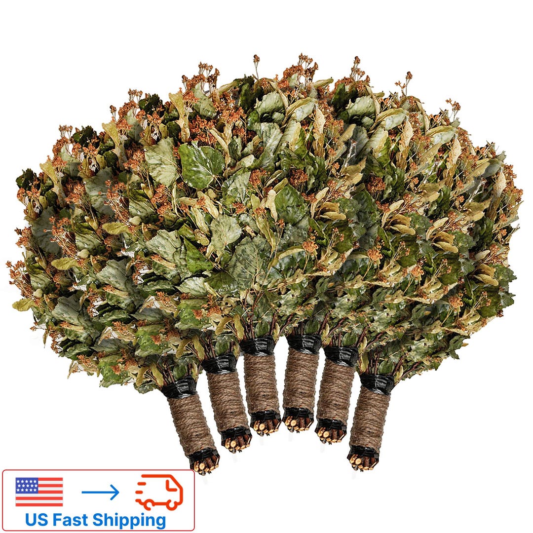SET of 10 sauna bath 5 BIRCH+5 CANADIAN OAK veniks SEASON
