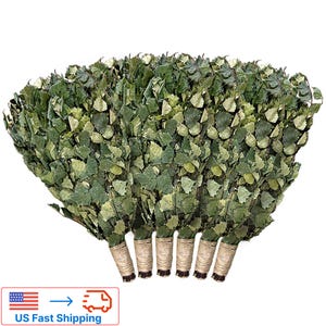 Birch Sauna Brooms Set of 6 | Natural Birch Whisks for Spa, Wellness, Natural Spa Kit, OAK Branches, Sauna and Bath Accessories, Sauna venik