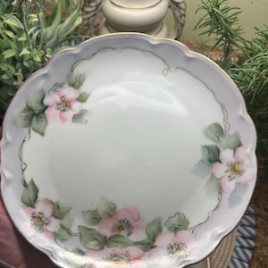 Hand Painted Bavarian China Plate: Pink Wild Rose & Gold Accent