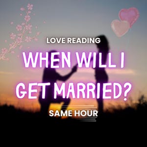いつ結婚するの？、読書好き、即日配達、迅速配達