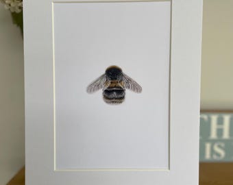 A4 Hummel-Druck