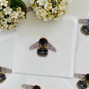 K&ouml;nnte beinhalten: Ein Satz leerer Gru&szlig;karten mit einer Illustration einer schwarzen und gelben Hummel. Die Karten sind wei&szlig; mit einer dezenten Textur.