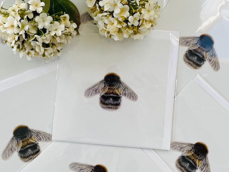 K&ouml;nnte beinhalten: Ein Satz leerer Gru&szlig;karten mit einer Illustration einer schwarzen und gelben Hummel. Die Karten sind wei&szlig; mit einer dezenten Textur.