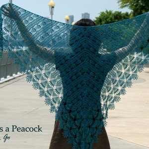 Proud as a Peacock Crocheted Shawl in PDF File image 4