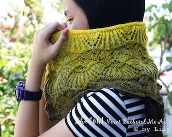 The Cowl Never Bothered Me Anyway Cowl Knitting Pattern in PDF