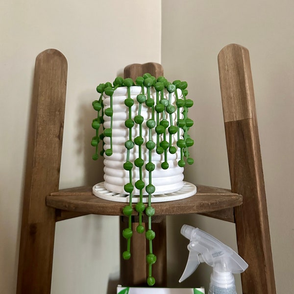 Faux String of Pearls Plant | 3D Printed Plant