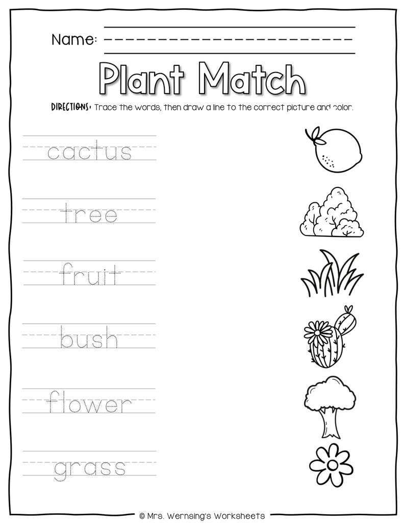Types of Plants - KINDER SCIENCE - Etsy