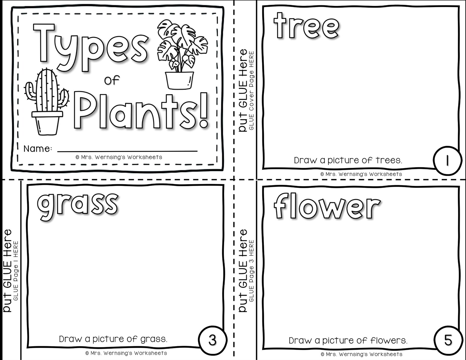 Types of Plants - KINDER SCIENCE - Etsy