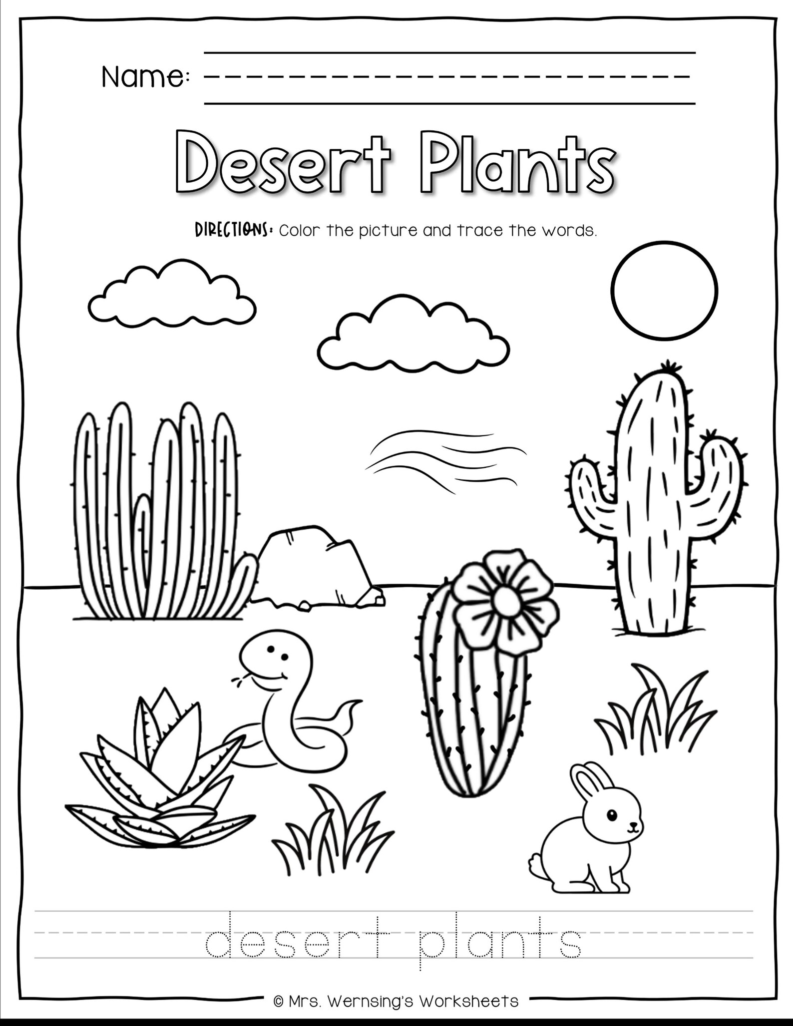 Types of Plants - KINDER SCIENCE - Etsy