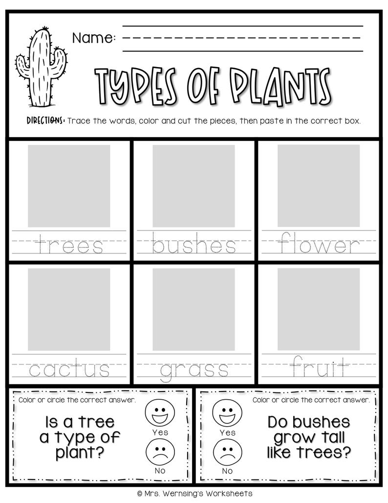 Types of Plants - KINDER SCIENCE - Etsy