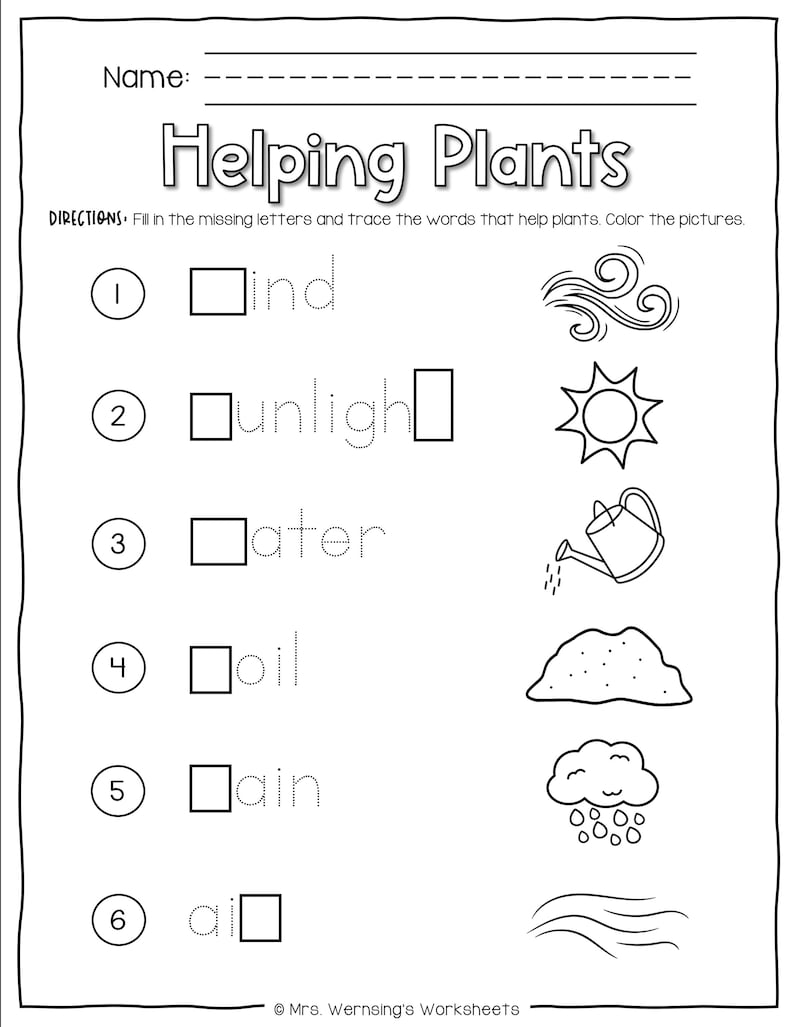 What Plants Need Activities - KINDER SCIENCE - Etsy