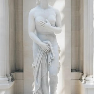 Statua di Venere Pudica in marmo bianco / Dea romana dell&#39;amore e della bellezza