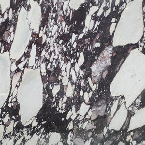 Marblebee Calacatta Viola Marble Slab