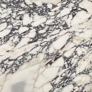 Marblebee Calacatta Crema Viola Marble Slab