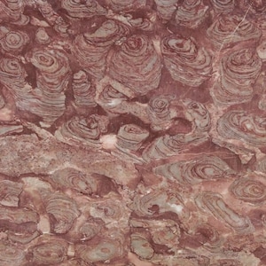 Marblebee French Rose Marble Slab