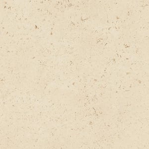 Marblebee Moonlight Beige Limestone Marble Slab