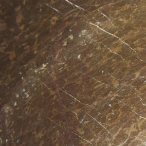 Marblebee Tan Marble Marble Slab
