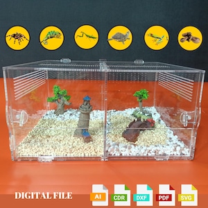 Fichier DXF SVG Découpé au Laser - Terrarium Acrylique Transparent - Designs de Lézard, Caméléon, Araignée, Tarentule - Fichiers Laser