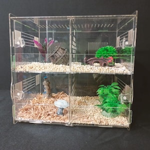 Cage à insectes en acrylique avec trous d'aération - Enclos anti-insectes à 4 compartiments, habitat d'observation transparent
