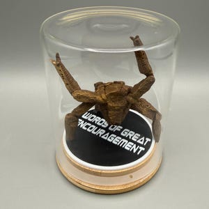 May include: A bronze-colored crab figurine with textured legs positioned inside a clear glass cloche. The crab rests on a circular black base featuring the white text "WORDS OF GREAT ENCOURAGEMENT" set upon a light-colored wooden circular stand.