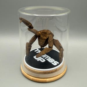 May include: A brown, multi-legged creature figurine enclosed in a clear glass display dome with a bamboo base. The creature stands on a black circular platform featuring the white text "Thumbs Up" printed in a bold, sans-serif font style.