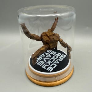 May include: A brown, textured, rock-like humanoid figurine enclosed in a clear glass dome on a wooden base. The figurine stands on a black circular platform with the white text "GRACE ROCKY SAVE STARS" printed in a circular pattern around the base.