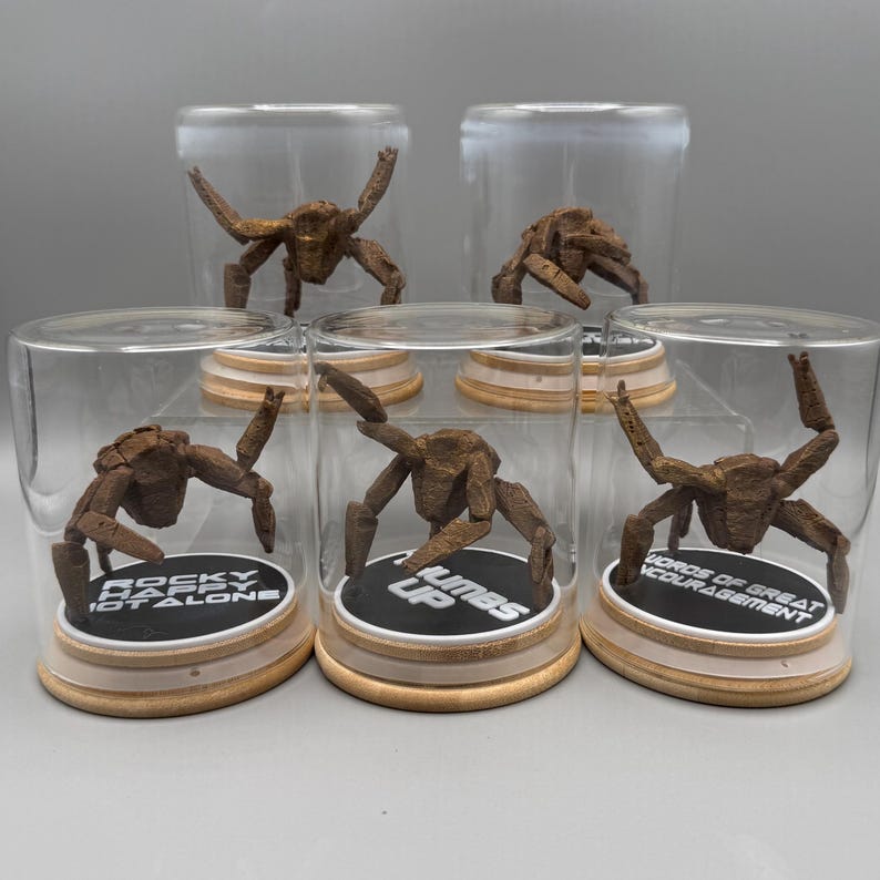 May include: Five clear glass domes with wooden bases, each containing a brown, multi-legged creature figurine. The bases feature black circular labels with white text reading: ROCKY HAPPY NOT ALONE, THUMBS UP, and WORDS OF GREAT ENCOURAGEMENT.