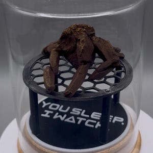 May include: A brown, textured, crab-like figurine sits on a black, circular, honeycomb-patterned platform inside a clear glass dome. The base features the white text "YOU SLEEP. I WATCH." The entire display rests on a light-colored wooden circular stand.