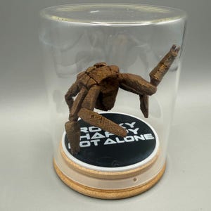 May include: A brown, textured, multi-legged creature figurine enclosed in a clear glass dome on a light wood base. The circular black display stand inside features the white text "ROCKY HARDY NOT ALONE" printed in a bold, sans-serif font.