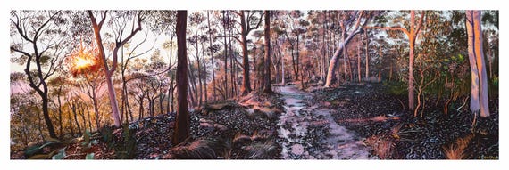 Australian Landscape Newcastle Mt Sugarloaf Afternoon walk Digital art reproduction