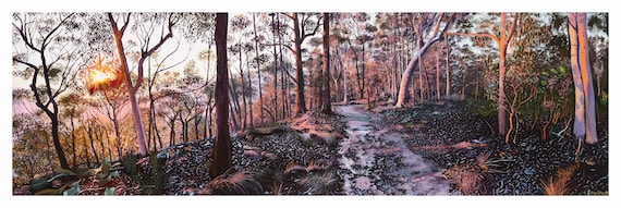 Mt Sugarloaf walking track