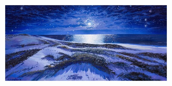 Nobbys moonlight dunes